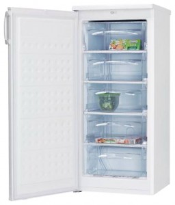 Hansa FZ206.3 Холодильник Фото, характеристики