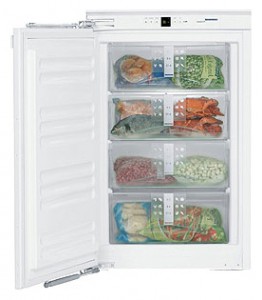 Liebherr IG 1156 Refrigerator larawan, katangian