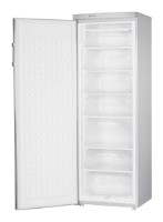 Daewoo Electronics FF-305 Refrigerator larawan, katangian