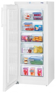 Liebherr GP 2433 Холодильник фото, Характеристики