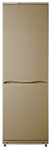 ATLANT ХМ 6021-050 Tủ lạnh ảnh, đặc điểm