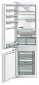 Gorenje GDC 67178 FN Холодильник Фото, характеристики