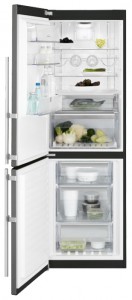 Electrolux EN 93488 MA Refrigerator larawan, katangian