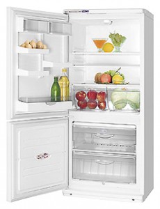 ATLANT ХМ 4008-020 Холодильник Фото, характеристики
