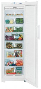 Liebherr SGN 3010 Refrigerator larawan, katangian