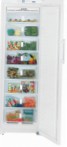 Liebherr SGN 3010 Холодильник \ Характеристики, фото