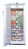 Liebherr GSND 2923 Холодильник Фото, характеристики