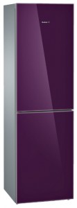 Bosch KGN39LA10 Холодильник фото, Характеристики