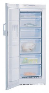 Bosch GSN24V21 Refrigerator larawan, katangian