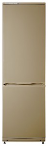 ATLANT ХМ 6024-050 Refrigerator larawan, katangian