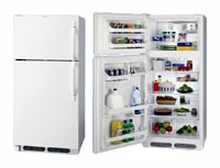 Frigidaire FGTG 16V6 A Холодильник Фото, характеристики