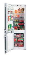 Electrolux ERN 2921 Холодильник фото, Характеристики