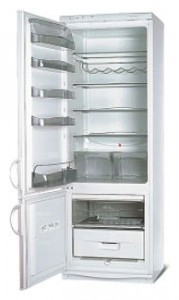 Snaige RF315-1703A Refrigerator larawan, katangian