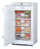 Liebherr GSN 2026 Tủ lạnh ảnh, đặc điểm