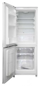 Kelon RD-21DC4SA Холодильник Фото, характеристики