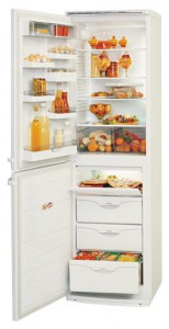 ATLANT МХМ 1805-35 Холодильник фото, Характеристики