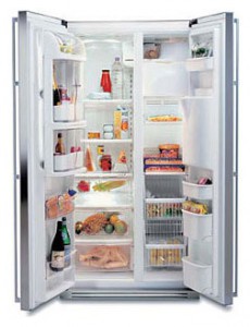 Gaggenau RS 495-310 Холодильник Фото, характеристики