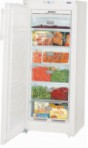 Liebherr GNP 2303 Refrigerator \ katangian, larawan