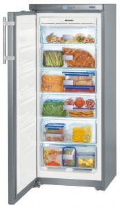 Liebherr GNsl 2323 Refrigerator larawan, katangian