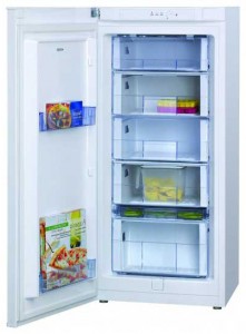 Hansa FZ220BSW Refrigerator larawan, katangian