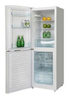 WEST RXD-16107 Холодильник Фото, характеристики