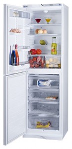 ATLANT МХМ 1848-67 Refrigerator larawan, katangian