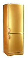 Vestfrost BKF 405 B40 Gold Kjøleskap Bilde, kjennetegn