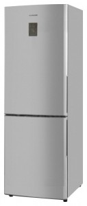 Samsung RL-36 ECMG3 Refrigerator larawan, katangian