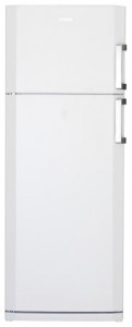 BEKO DS 145120 Refrigerator larawan, katangian