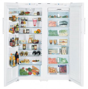 Liebherr SBS 6352 Refrigerator larawan, katangian