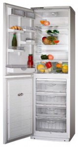 ATLANT ХМ 6025-180 Холодильник фото, Характеристики