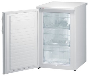 Gorenje F 3090 AW Buzdolabı fotoğraf, özellikleri
