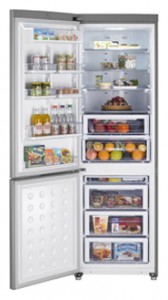 Samsung RL-55 VJBIH Refrigerator larawan, katangian