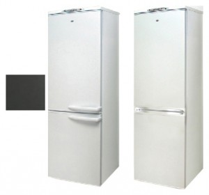 Exqvisit 291-1-810,831 Refrigerator larawan, katangian