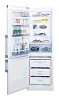 Bauknecht KGEA 3500 Холодильник Фото, характеристики