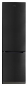 Samsung RL-38 SBTB Refrigerator larawan, katangian