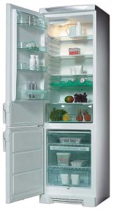 Electrolux ERB 4119 Refrigerator larawan, katangian