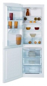 BEKO CS 234000 Холодильник Фото, характеристики