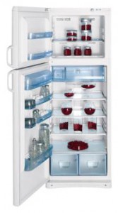 Indesit TAN 5 FNF Refrigerator larawan, katangian
