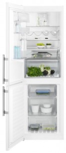 Electrolux EN 3454 NOW Холодильник фото, Характеристики