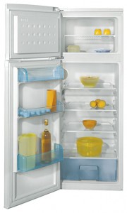 BEKO DSK 25000 Kjøleskap Bilde, kjennetegn