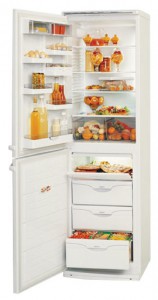 ATLANT МХМ 1805-02 Холодильник фото, Характеристики