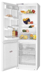 ATLANT ХМ 6019-037 Tủ lạnh ảnh, đặc điểm