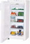 Liebherr GN 1956 Холодильник \ характеристики, Фото