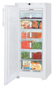 Liebherr GN 2313 Tủ lạnh ảnh, đặc điểm