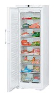 Liebherr GN 3066 Refrigerator larawan, katangian