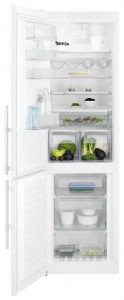 Electrolux EN 93852 JW Холодильник фото, Характеристики