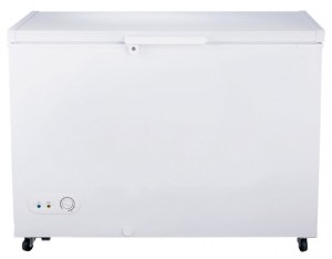 Hisense FC-34DD4SA Refrigerator larawan, katangian
