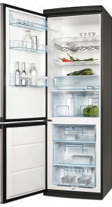Electrolux ERB 36033 X Refrigerator larawan, katangian