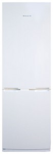 Snaige RF31SH-S10001 Buzdolabı fotoğraf, özellikleri